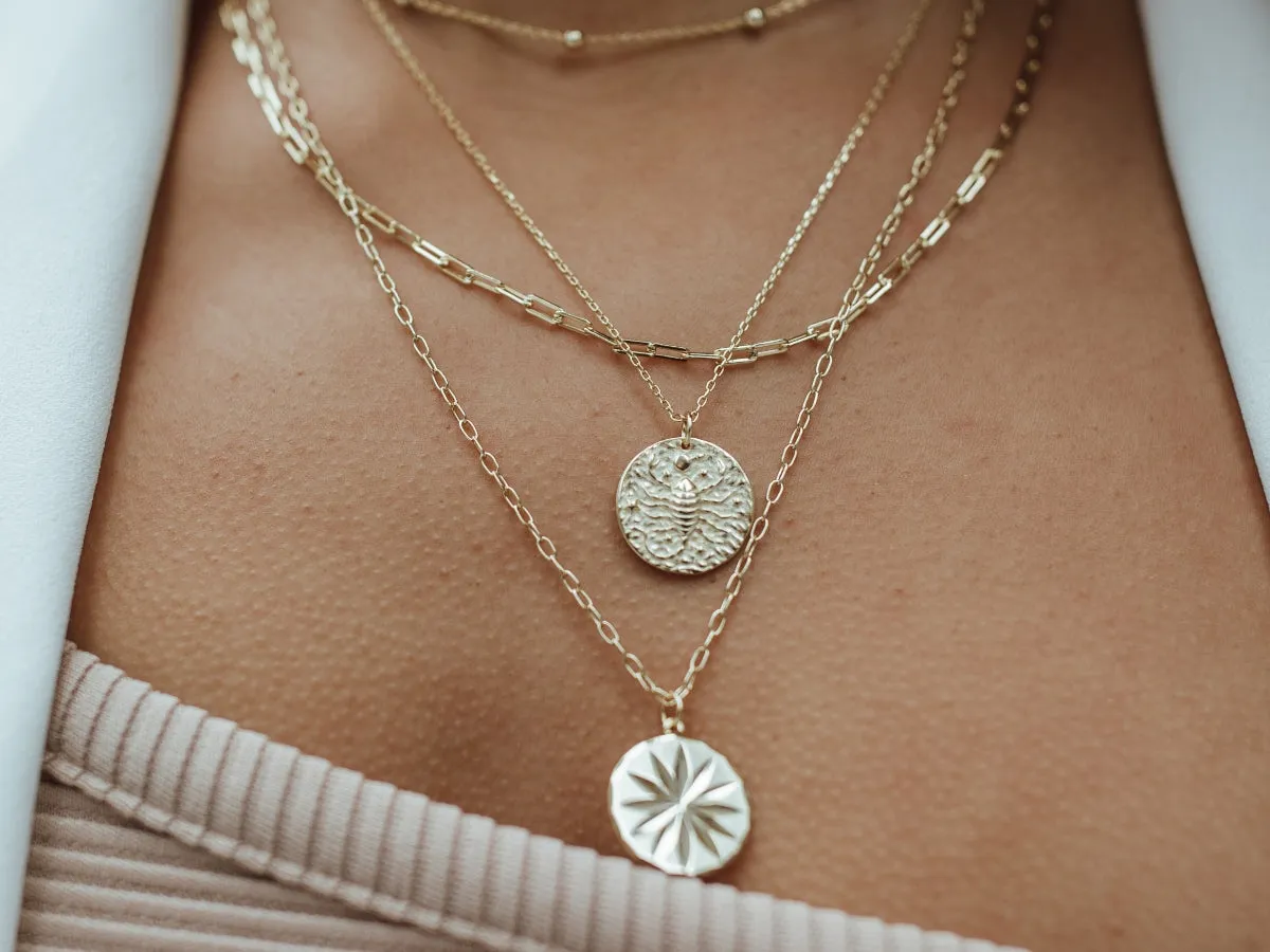 Gemini Zodiac Coin Necklace